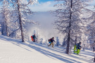 Sci alpinismo